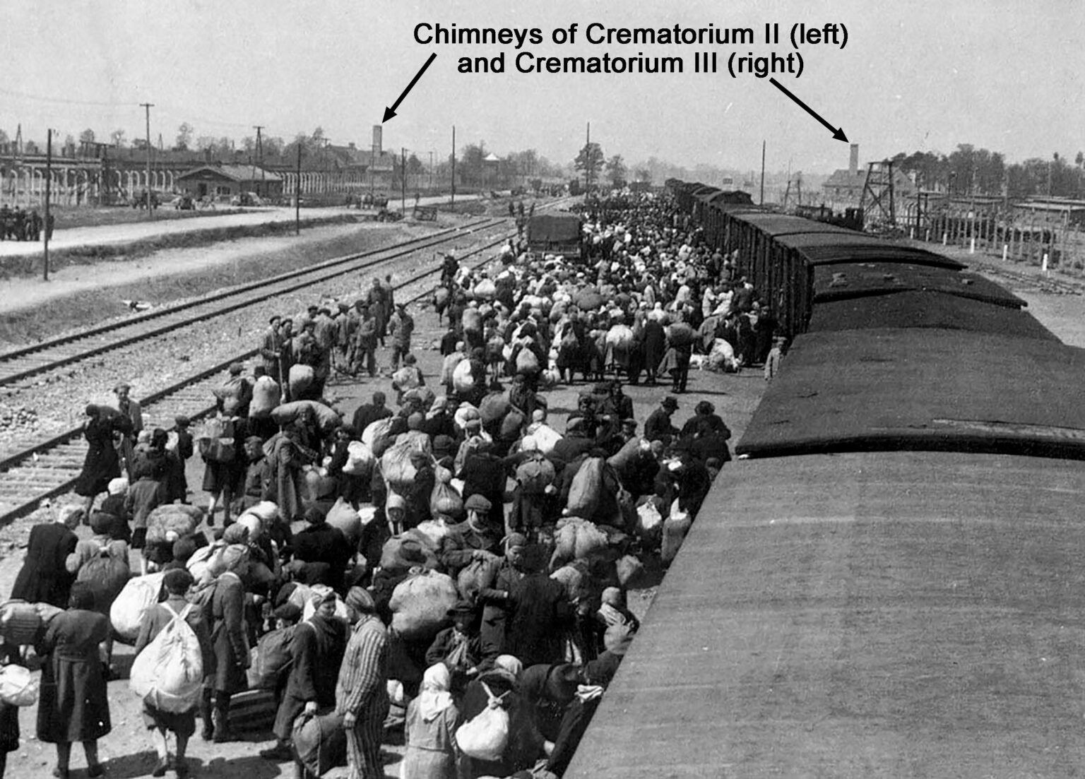 train of Jews from Hungary at Birkenau