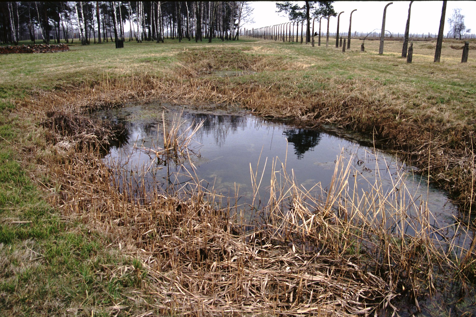 Groundwater Level, Birkenau